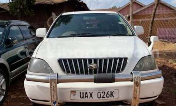 Buy Used Toyota Harrier Other Car in Kampala in Uganda Buy Used Toyota Harrier Other Car in Kampala in Uganda