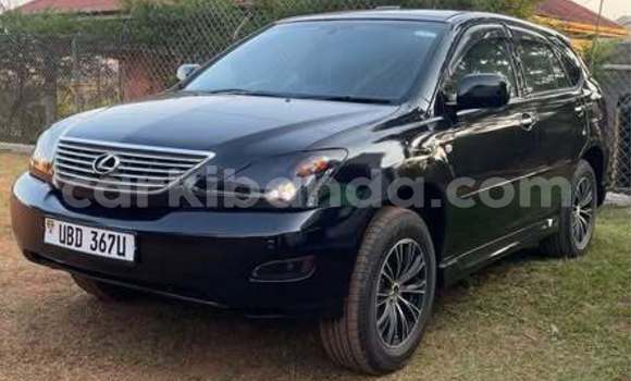 Buy Used Toyota Harrier Other Car in Kampala in Uganda