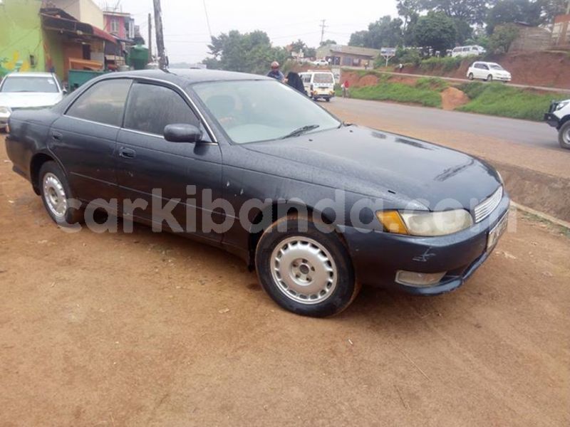 Big with watermark 51789894 2257240247672233 6932765149245734912 n