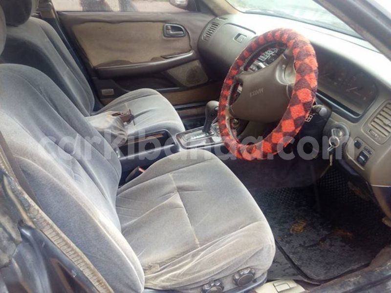 Big with watermark 51865976 2257240281005563 648034264872386560 n