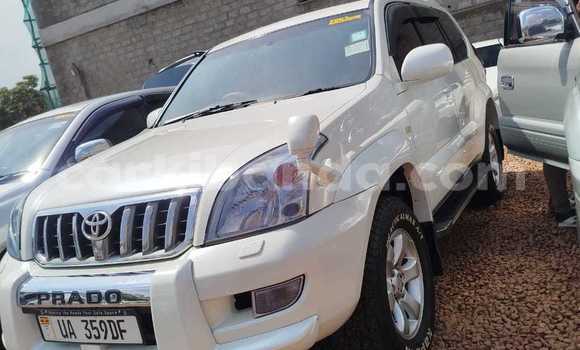 Buy Used Toyota Prado White Car in Kampala in Uganda