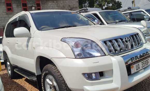Acheter Occasion Voiture Toyota Prado Blanc à Kampala, Ouganda Acheter Occasion Voiture Toyota Prado Blanc à Kampala, Ouganda