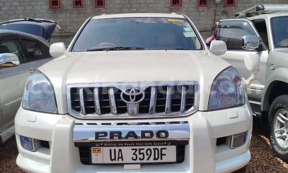 Acheter Occasion Voiture Toyota Prado Blanc à Kampala, Ouganda Acheter Occasion Voiture Toyota Prado Blanc à Kampala, Ouganda