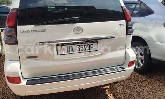 Acheter Occasion Voiture Toyota Prado Blanc à Kampala, Ouganda Acheter Occasion Voiture Toyota Prado Blanc à Kampala, Ouganda