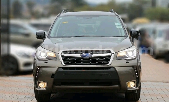 Buy Used Subaru Forester Beige Car in Kampala in Uganda