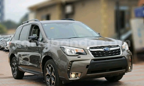 Acheter Occasion Voiture Subaru Forester Beige à Kampala, Ouganda Acheter Occasion Voiture Subaru Forester Beige à Kampala, Ouganda