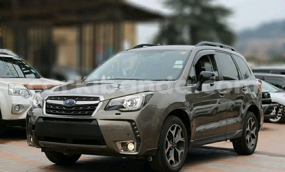 Acheter Occasion Voiture Subaru Forester Beige à Kampala, Ouganda Acheter Occasion Voiture Subaru Forester Beige à Kampala, Ouganda