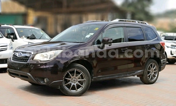 Acheter Occasion Voiture Subaru Forester Noir à Kampala, Ouganda Acheter Occasion Voiture Subaru Forester Noir à Kampala, Ouganda