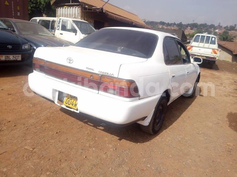 Big with watermark 51496138 2250697198326538 1041742518053502976 n 1