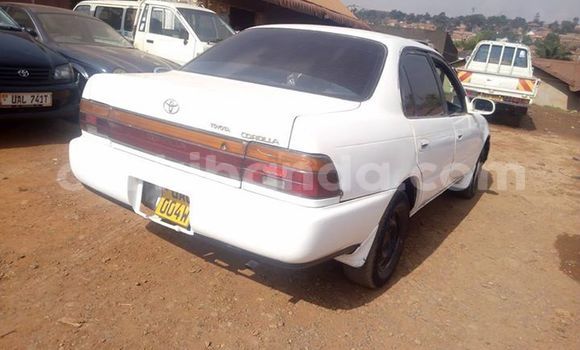 Buy Used Toyota Corolla White Car in Kampala in Uganda Buy Used Toyota Corolla White Car in Kampala in Uganda