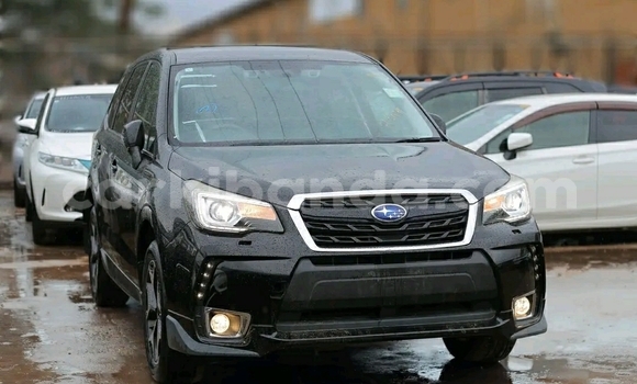 Acheter Occasion Voiture Subaru Forester Noir à Kampala, Ouganda Acheter Occasion Voiture Subaru Forester Noir à Kampala, Ouganda