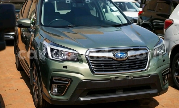 Acheter Occasion Voiture Subaru Forester Vert à Kampala, Ouganda Acheter Occasion Voiture Subaru Forester Vert à Kampala, Ouganda