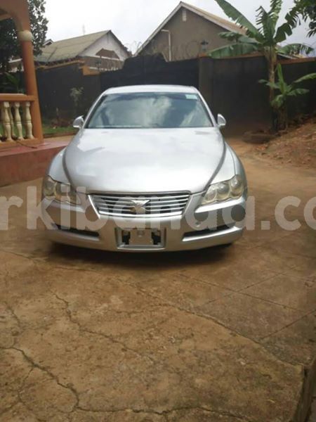 Big with watermark 51783584 2679076262132468 6933349320632565760 n