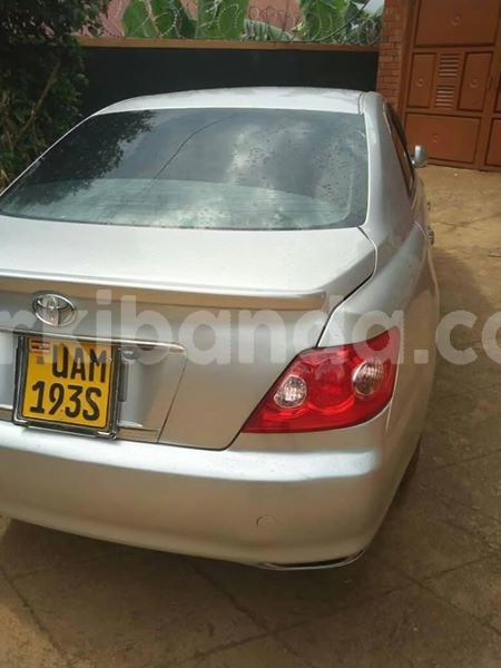 Big with watermark 51833965 2679076252132469 6702627366868353024 n