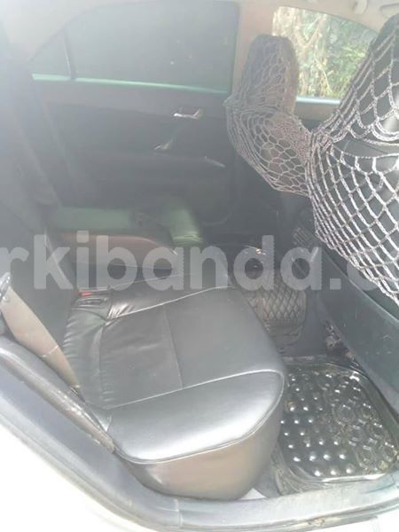 Big with watermark 51805378 2679076175465810 127457565440212992 n