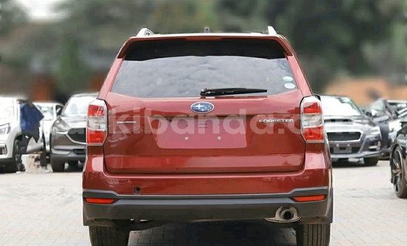 Buy Used Subaru Forester Red Car in Kampala in Uganda Buy Used Subaru Forester Red Car in Kampala in Uganda