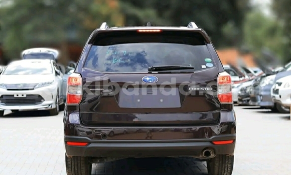 Acheter Occasion Voiture Subaru Forester Noir à Kampala, Ouganda Acheter Occasion Voiture Subaru Forester Noir à Kampala, Ouganda