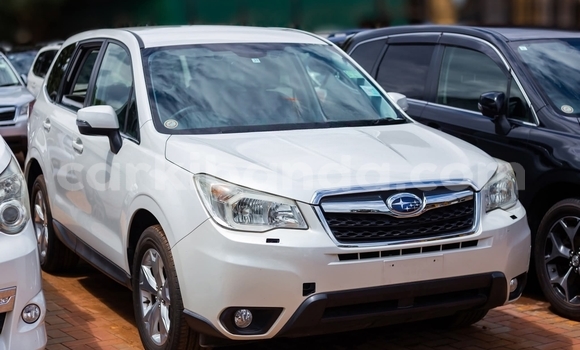 Buy Used Subaru Forester White Car in Kampala in Uganda