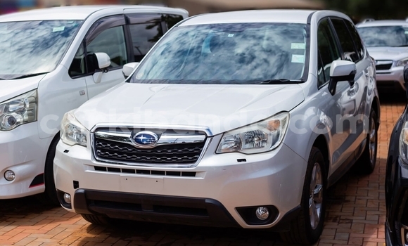 Buy Used Subaru Forester White Car in Kampala in Uganda Buy Used Subaru Forester White Car in Kampala in Uganda