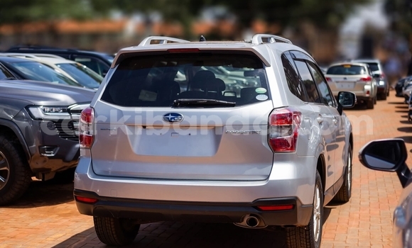 Buy Used Subaru Forester Silver Car in Kampala in Uganda Buy Used Subaru Forester Silver Car in Kampala in Uganda