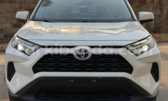 Buy Used Toyota RAV4 White Car in Kampala in Uganda