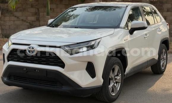 Buy Used Toyota RAV4 White Car in Kampala in Uganda Buy Used Toyota RAV4 White Car in Kampala in Uganda