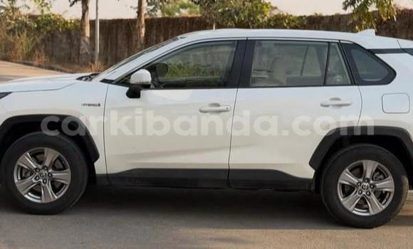 Buy Used Toyota RAV4 White Car in Kampala in Uganda Buy Used Toyota RAV4 White Car in Kampala in Uganda
