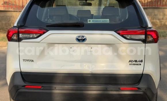Buy Used Toyota RAV4 White Car in Kampala in Uganda Buy Used Toyota RAV4 White Car in Kampala in Uganda