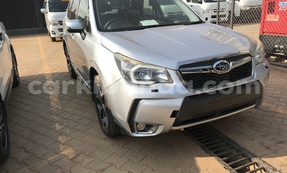 Gura Imported Subaru Forester Silver Imodoka i Kampala mu Uganda Gura Imported Subaru Forester Silver Imodoka i Kampala mu Uganda