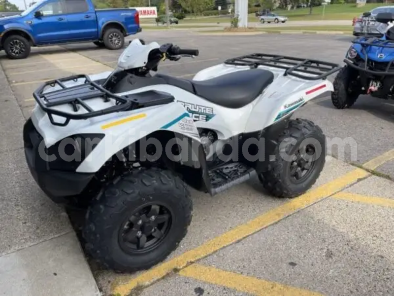 Big with watermark kawasaki brute force eastern bugembe 26053
