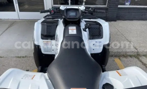 Buy New Kawasaki Brute Force White Bike in Bugembe in Eastern Buy New Kawasaki Brute Force White Bike in Bugembe in Eastern
