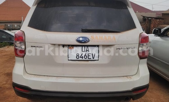 Gura Yakoze Subaru Forester White Imodoka i Kampala mu Uganda Gura Yakoze Subaru Forester White Imodoka i Kampala mu Uganda