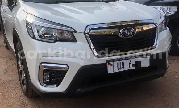 Gura Nshya Subaru Forester White Imodoka i Kampala mu Uganda Gura Nshya Subaru Forester White Imodoka i Kampala mu Uganda