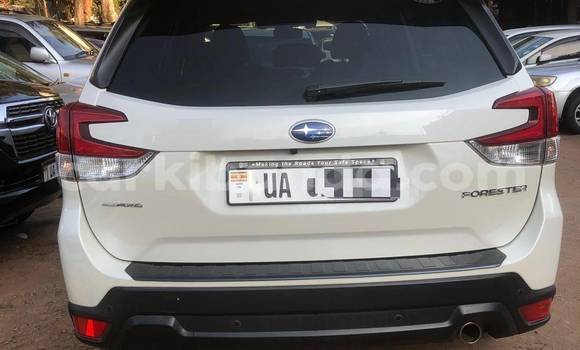 Gura Nshya Subaru Forester White Imodoka i Kampala mu Uganda Gura Nshya Subaru Forester White Imodoka i Kampala mu Uganda