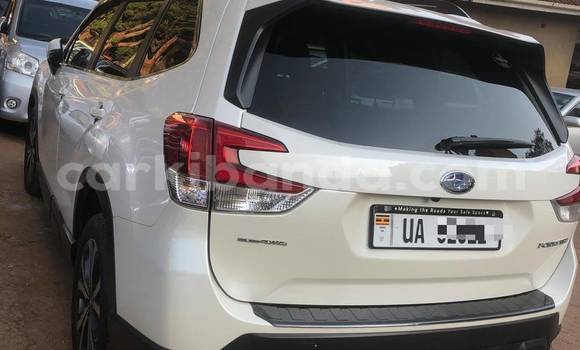 Gura Nshya Subaru Forester White Imodoka i Kampala mu Uganda Gura Nshya Subaru Forester White Imodoka i Kampala mu Uganda