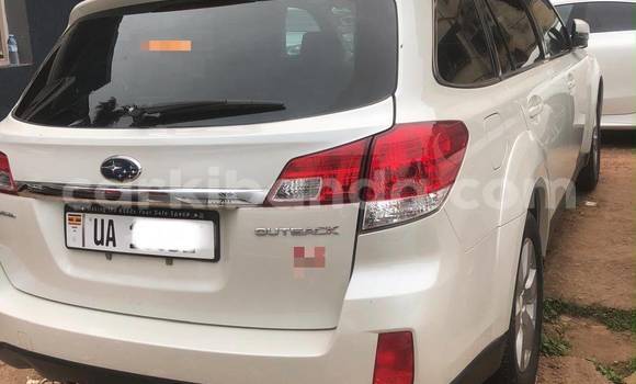 Nunua Mpya Subaru Outback Nyeupe Gari ndani ya Kampala nchini Uganda Nunua Mpya Subaru Outback Nyeupe Gari ndani ya Kampala nchini Uganda