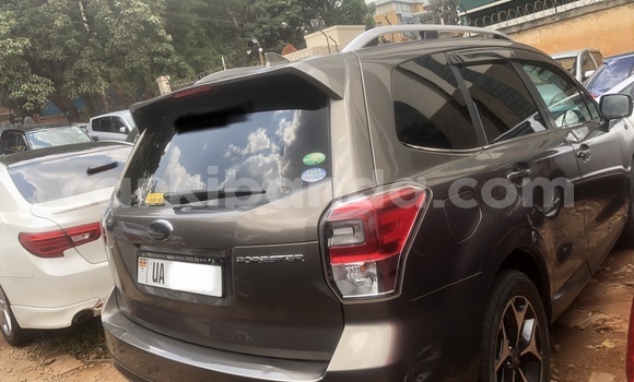 Nunua Mpya Subaru Forester Nyingine Gari ndani ya Kampala nchini Uganda