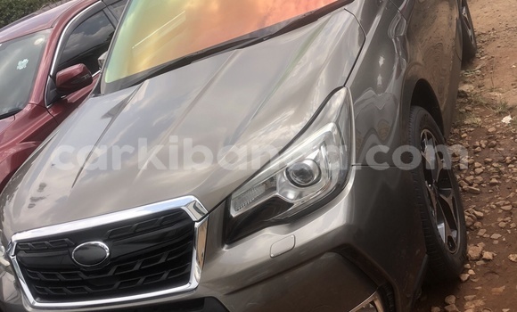 Nunua Mpya Subaru Forester Nyingine Gari ndani ya Kampala nchini Uganda Nunua Mpya Subaru Forester Nyingine Gari ndani ya Kampala nchini Uganda