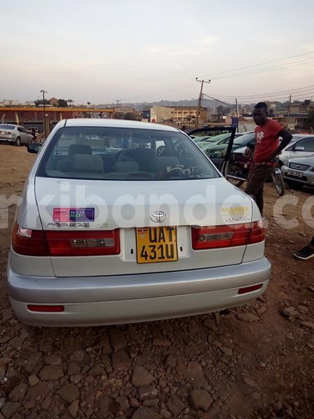 Big with watermark 51924616 174457710194247 4677004400755998720 n