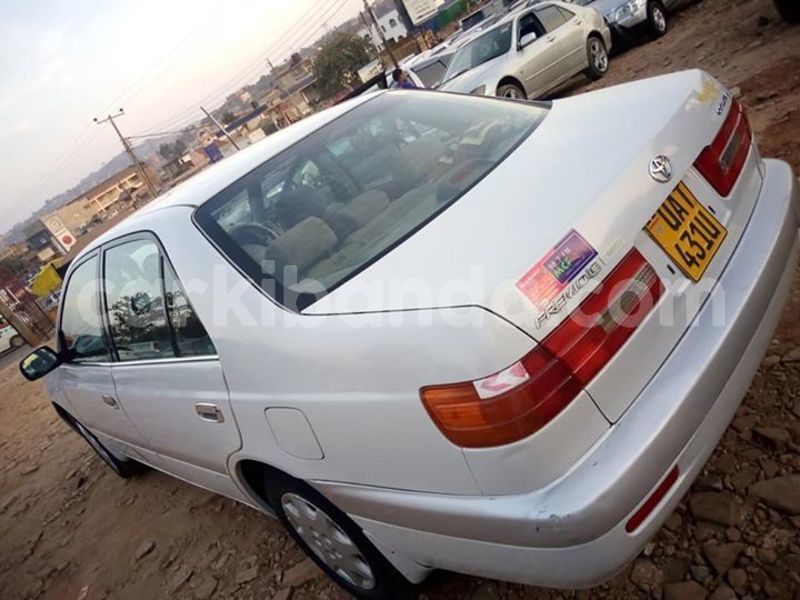 Big with watermark 51403752 174457723527579 523117971451674624 n