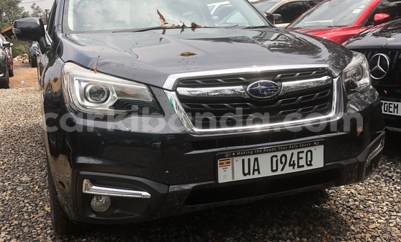 Buy New Subaru Forester Other Car in Kampala in Uganda
