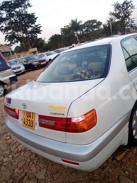 Big with watermark 51808555 174457746860910 1332241345607106560 n