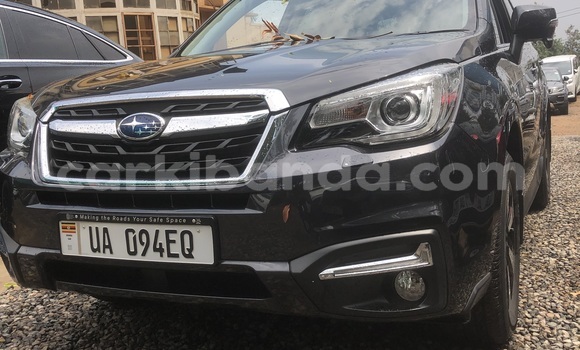 Gura Nshya Subaru Forester Other Imodoka i Kampala mu Uganda Gura Nshya Subaru Forester Other Imodoka i Kampala mu Uganda
