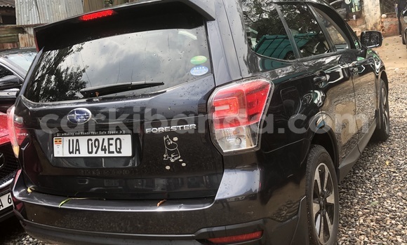Gura Nshya Subaru Forester Other Imodoka i Kampala mu Uganda Gura Nshya Subaru Forester Other Imodoka i Kampala mu Uganda
