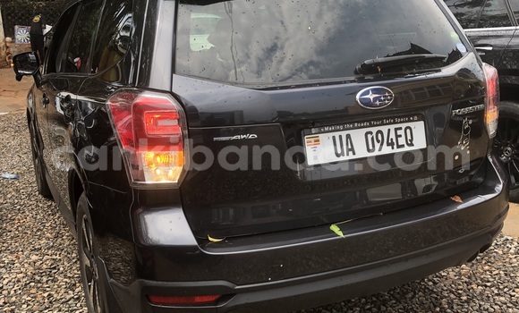 Gura Nshya Subaru Forester Other Imodoka i Kampala mu Uganda Gura Nshya Subaru Forester Other Imodoka i Kampala mu Uganda