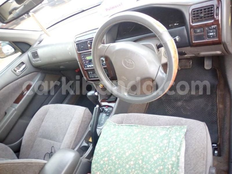 Big with watermark 51732444 174457836860901 2780420604610740224 n