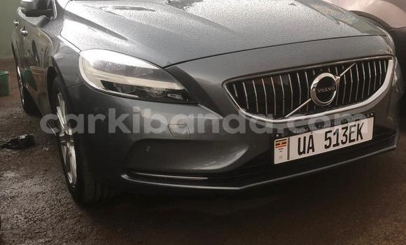 Gura Nshya Volvo V40 Other Imodoka i Kampala mu Uganda Gura Nshya Volvo V40 Other Imodoka i Kampala mu Uganda