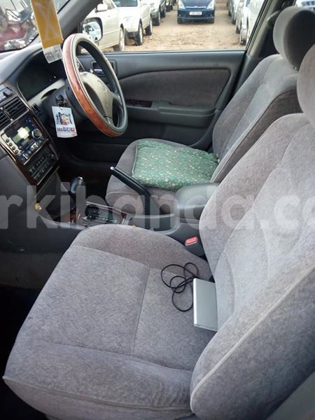 Big with watermark 51925991 174457880194230 8157402351313879040 n