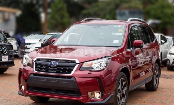 Buy Used Subaru Forester Red Car in Kampala in Uganda