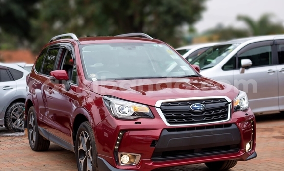 Gura Yakoze Subaru Forester Red Imodoka i Kampala mu Uganda Gura Yakoze Subaru Forester Red Imodoka i Kampala mu Uganda